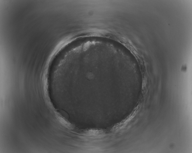 X0000116840101201001151255