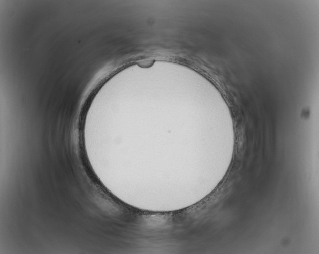 X0000116840102201001151255