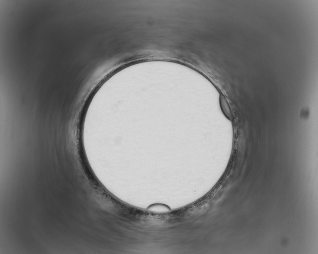 X0000116840103201001151255