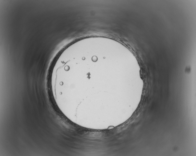 X0000116840104201001151255
