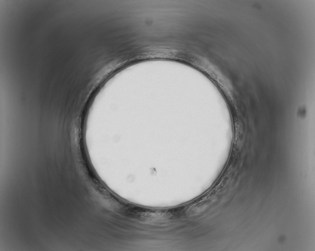 X0000116840107201001151255