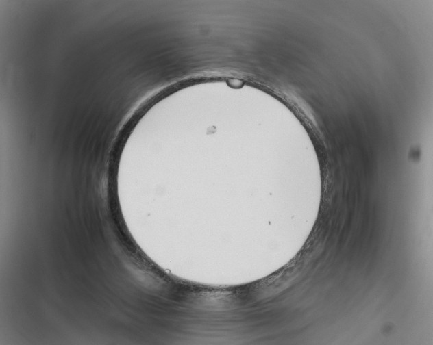 X0000116840108201001151255