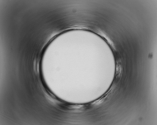 X0000116840110201001151255