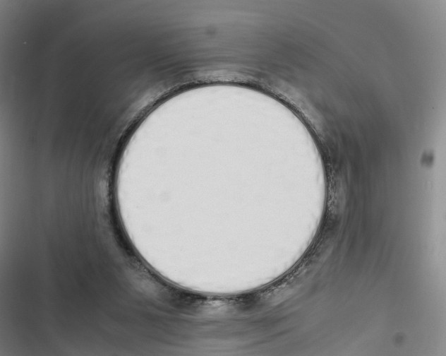 X0000116840111201001151255