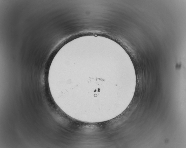 X0000116840112201001151255