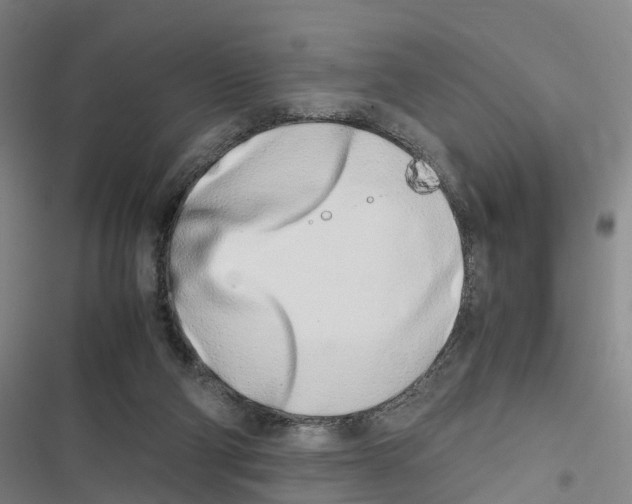 X0000116840114201001151255