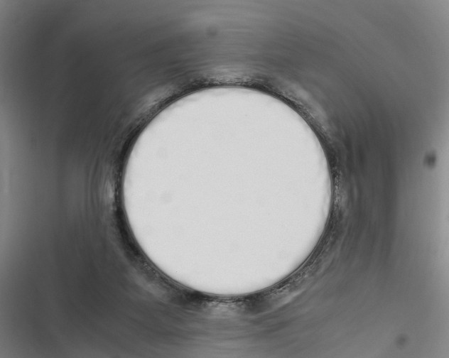 X0000116840115201001151255