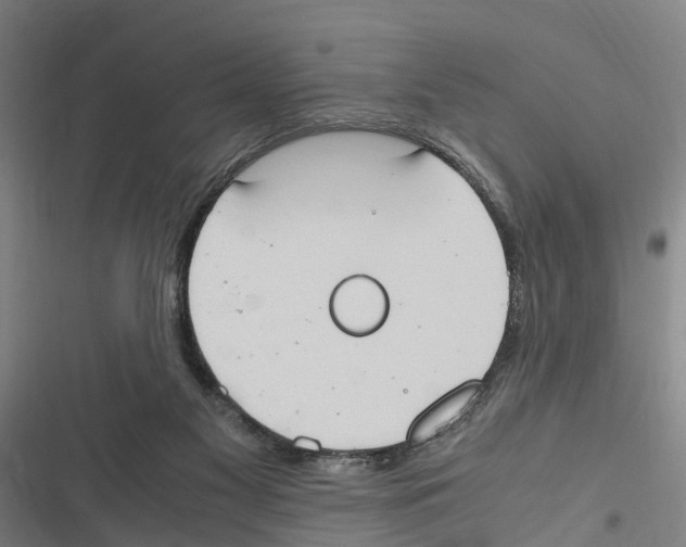 X0000116840117201001151255