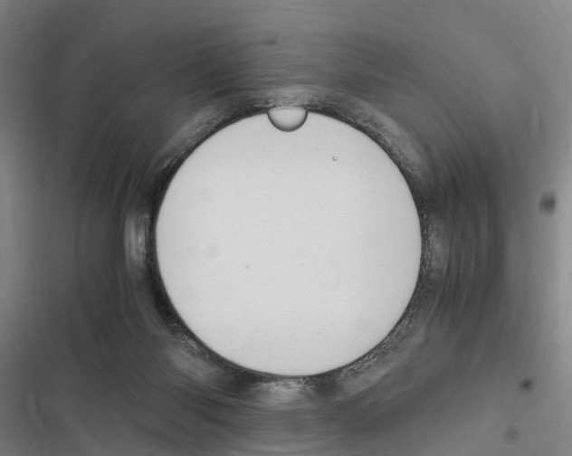 X0000116840118201001151255