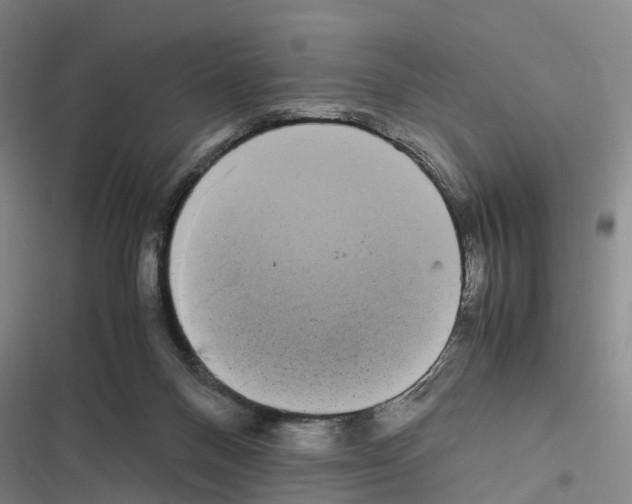 X0000116840120201001151255
