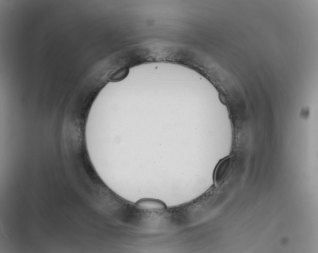 X0000116840121201001151255