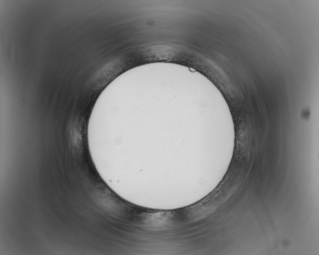 X0000116840122201001151255
