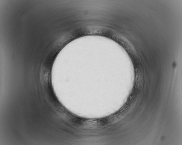 X0000116840123201001151255