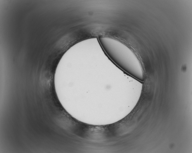 X0000116840125201001151255