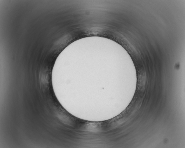 X0000116840126201001151255