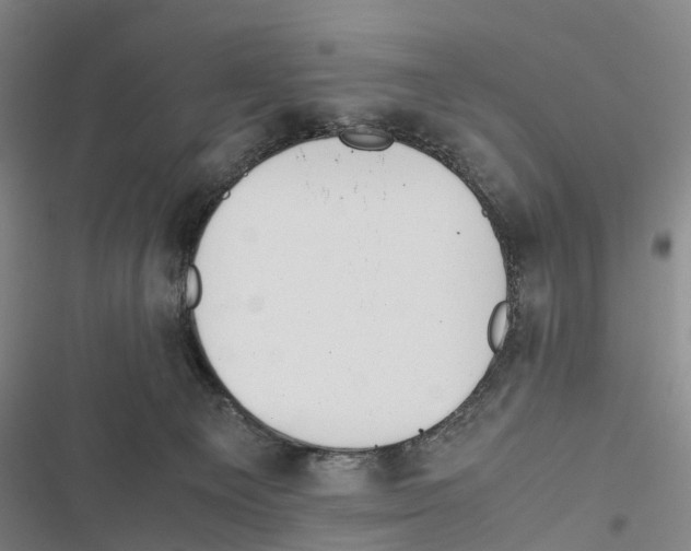 X0000116840129201001151255