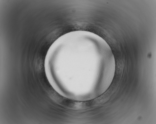 X0000116840130201001151255
