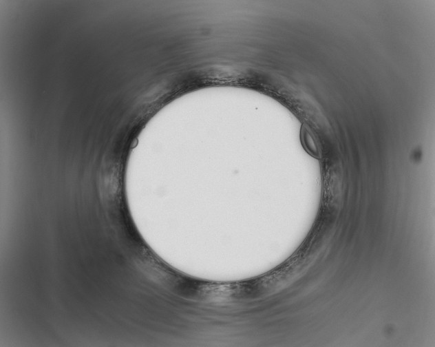 X0000116840131201001151255
