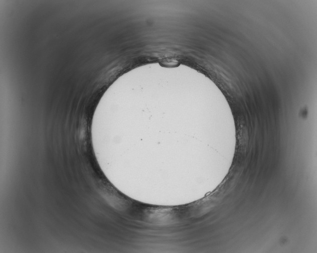 X0000116840132201001151255