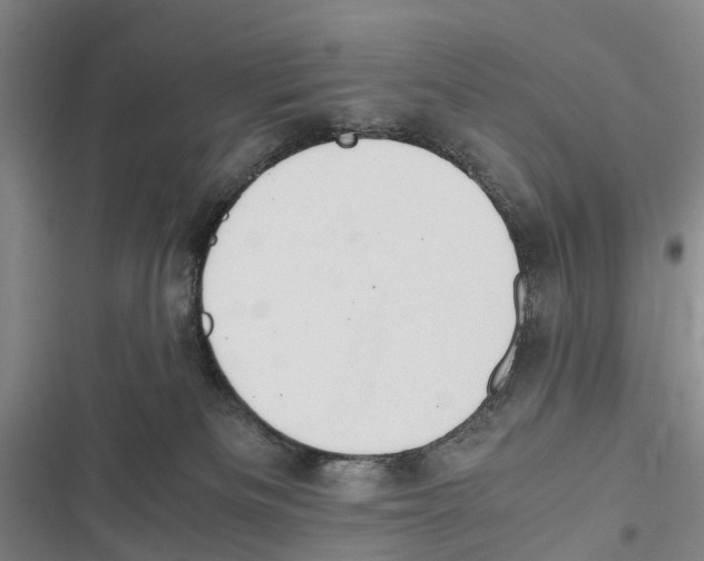 X0000116840133201001151255