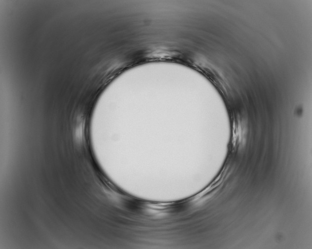 X0000116840134201001151255