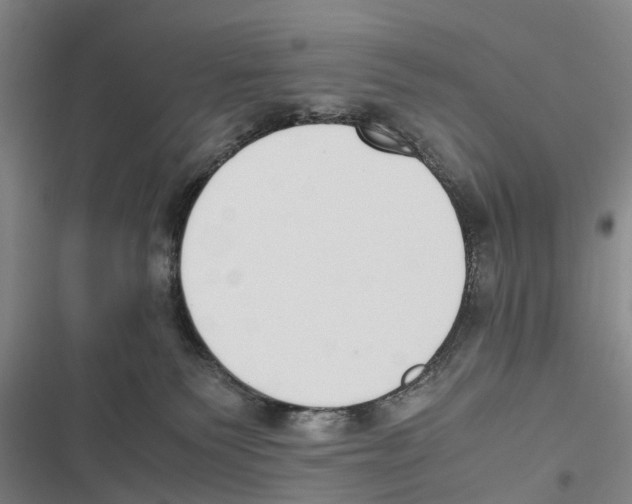 X0000116840135201001151255