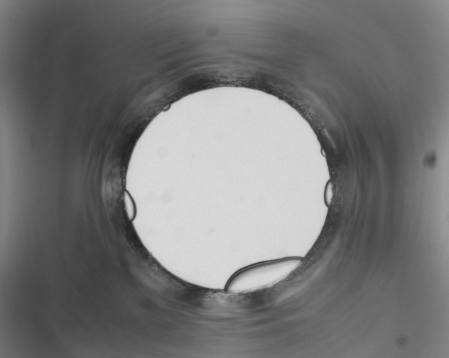 X0000116840137201001151255