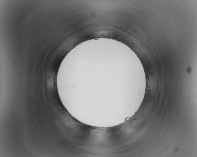 X0000116840138201001151255