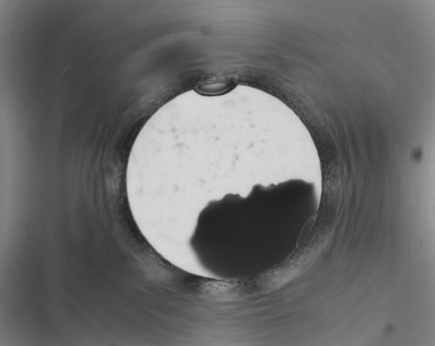 X0000116840139201001151255