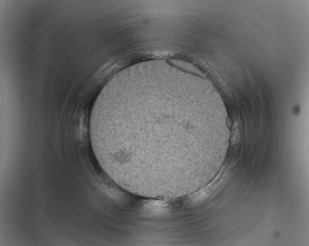 X0000116840140201001151255