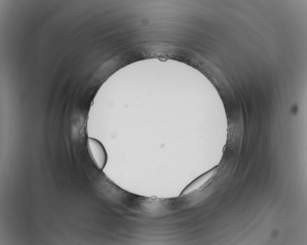 X0000116840142201001151255