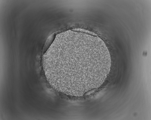 X0000116840144201001151255