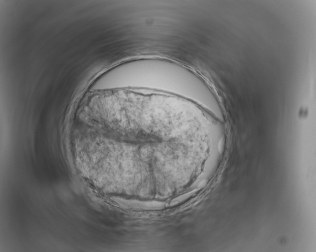 X0000116840145201001151254