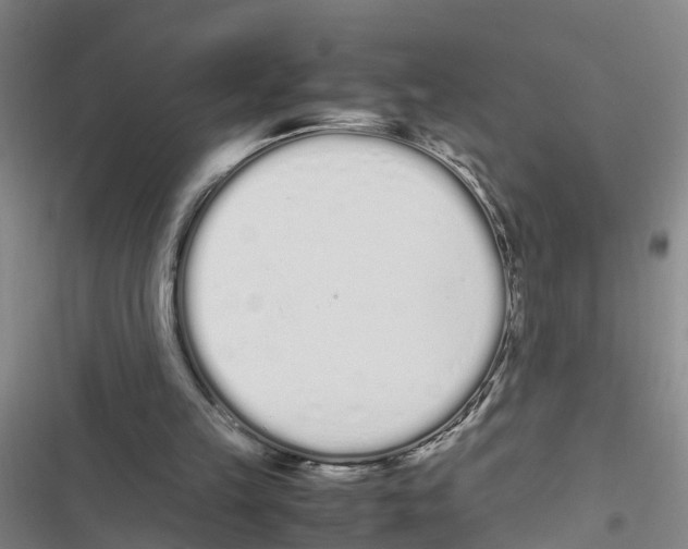 X0000116840149201001151254