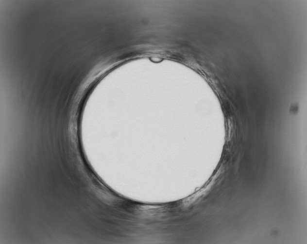 X0000116840150201001151254