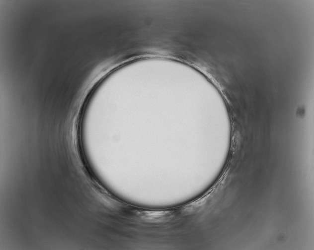 X0000116840151201001151254