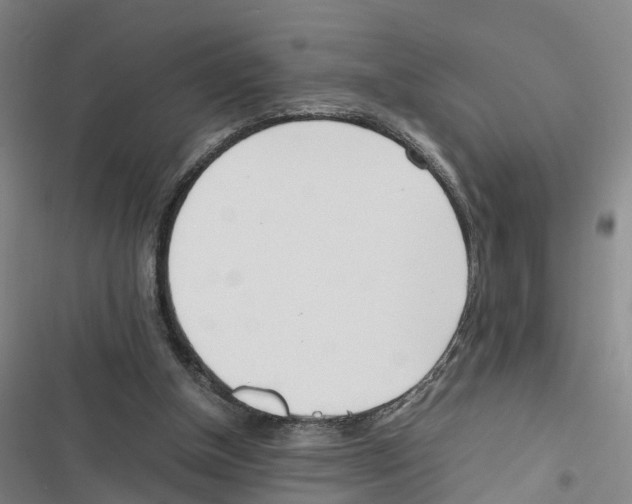 X0000116840154201001151254