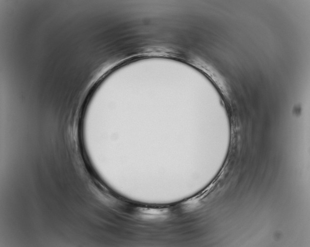 X0000116840155201001151254