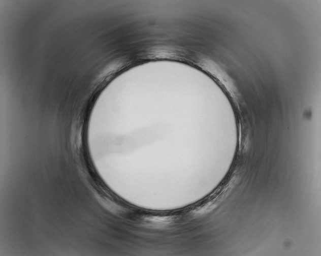 X0000116840157201001151254