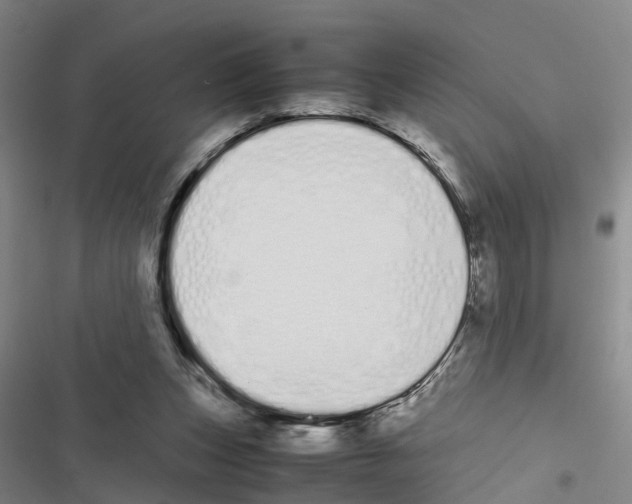 X0000116840159201001151254