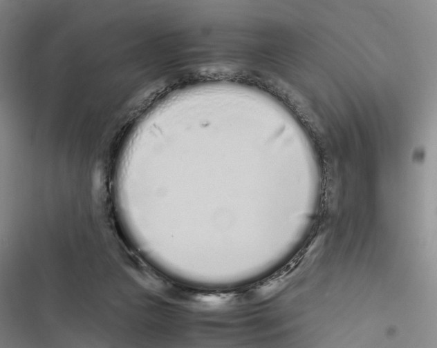 X0000116840161201001151254