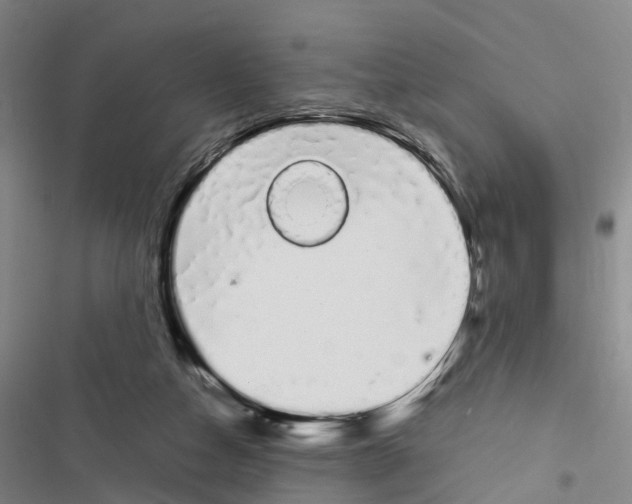 X0000116840162201001151254
