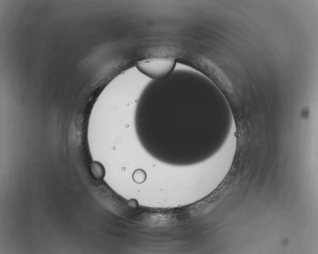 X0000116840163201001151254