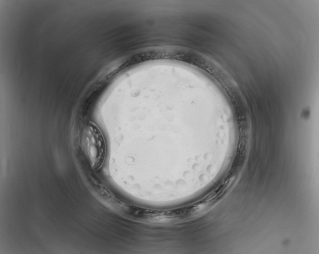X0000116840165201001151254