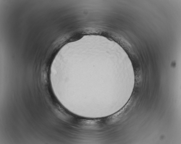 X0000116840166201001151254