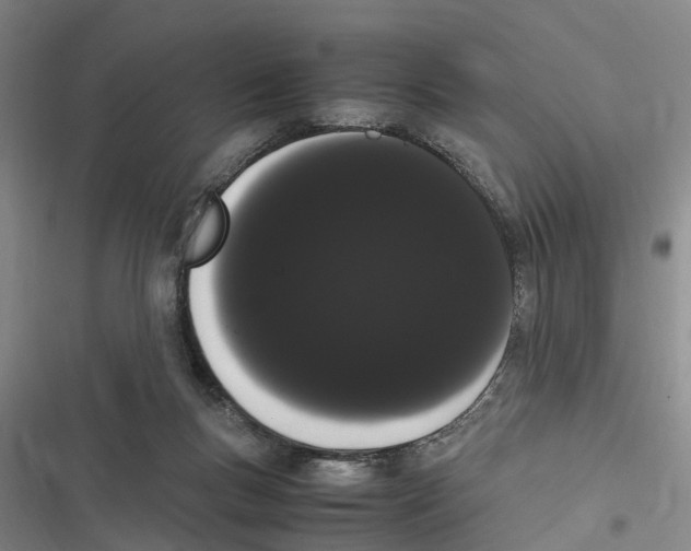 X0000116840167201001151254