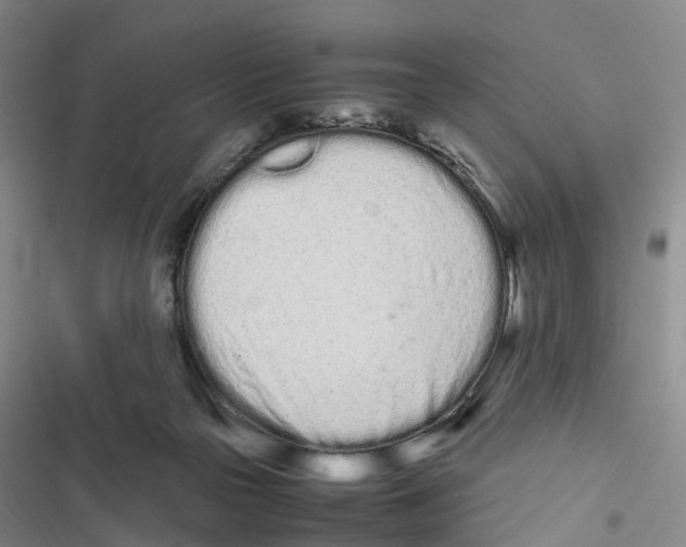 X0000116840169201001151254