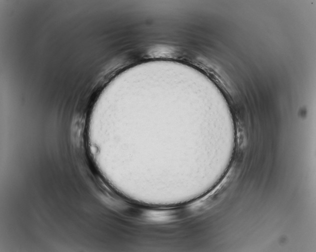X0000116840171201001151254
