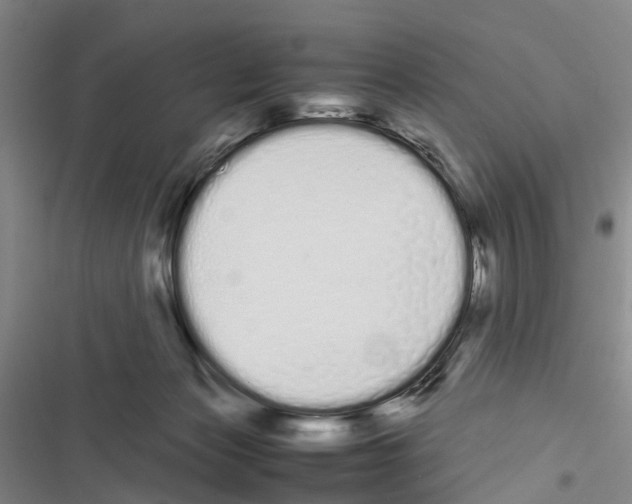 X0000116840173201001151255