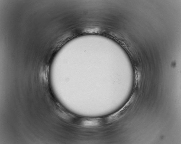 X0000116840175201001151255